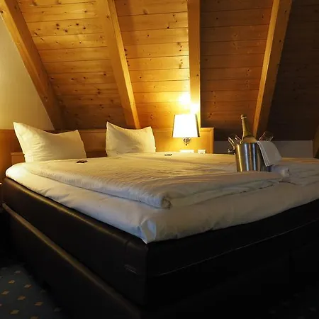 Hotel Adler 3*