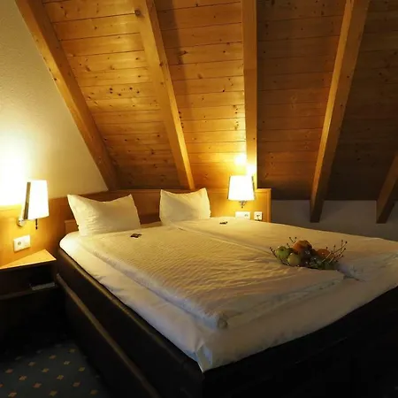 Adler Hotel 3*